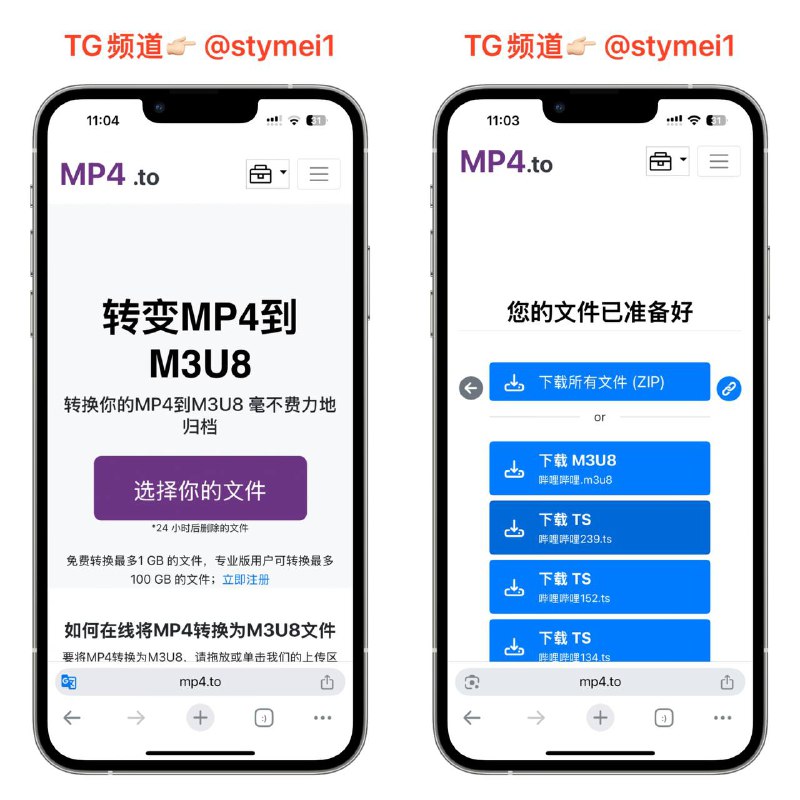 mp4转m3u8 🔴选择本地视频上传，切分后有n个ts文件（取决于切分时设置每片时长），m3u8文件就是多个ts文件组成的序列🤑 点击获取#网页工具丨有趣网站丨未分类