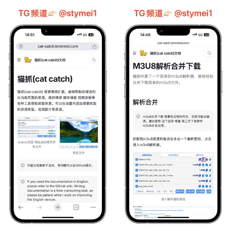 猫抓(cat-catch) 🐱资源嗅探扩展，能够帮助你筛选列出当前页面的资源